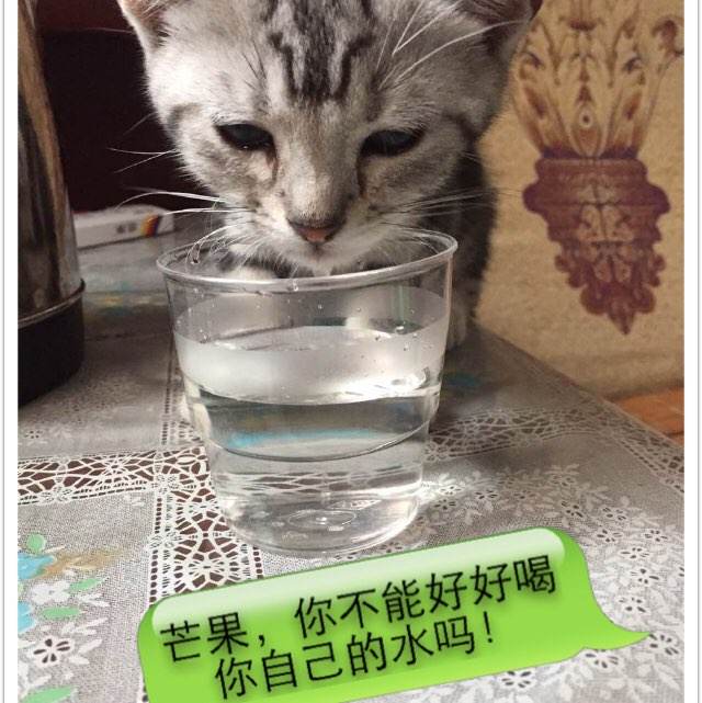 代办光大银行流水打印
